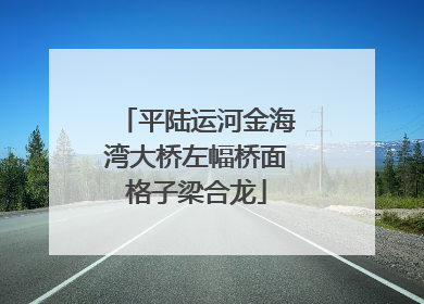 平陆运河金海湾大桥左幅桥面格子梁合龙